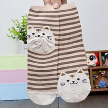 6 Colors Socks Women Cat