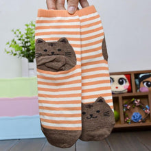 6 Colors Socks Women Cat