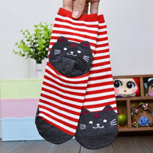 6 Colors Socks Women Cat